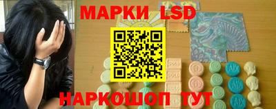 шишки Тверь