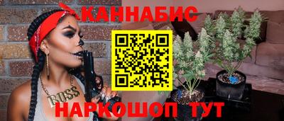 шишки Тверь