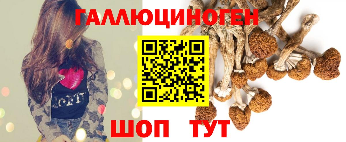 Бийск  Псилоцибиновые грибы ЛСД  Вход с VPN 